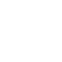 Affordability Icon White